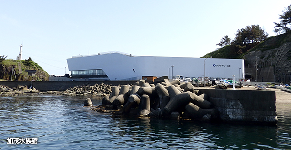 加茂水族館